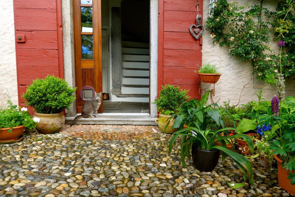 Bed & Breakfast Uvablu Trontano エクステリア 写真